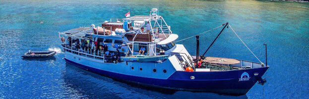 It’s time to plan a liveaboard holiday in Indonesia!