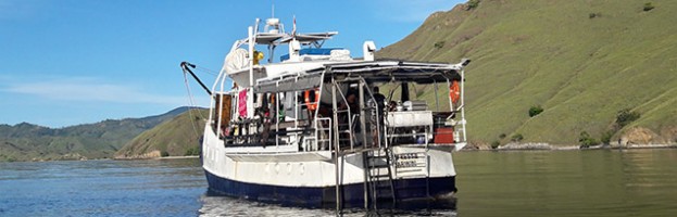 From Australia to Indonesia – the first diving safari was a success!