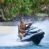 Scuba Froggy Expands Ocean Adventures with Jet Ski Fun Rides & Guided Safaris in Lombok