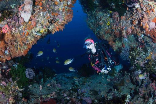 lp-img-dive